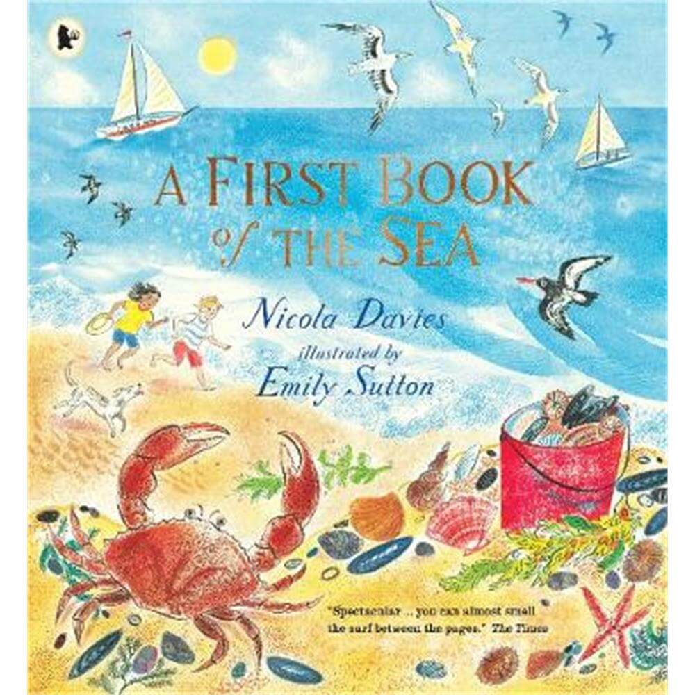 A First Book of the Sea (Paperback) - Nicola Davies